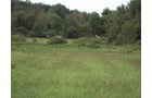 Property photo 6 - 72 Acres offered in 6 Tracts